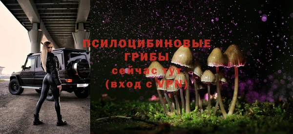 спайс Абдулино