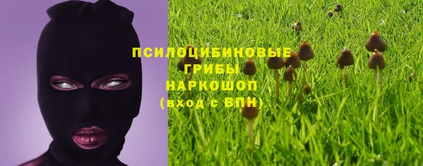 амф Абаза
