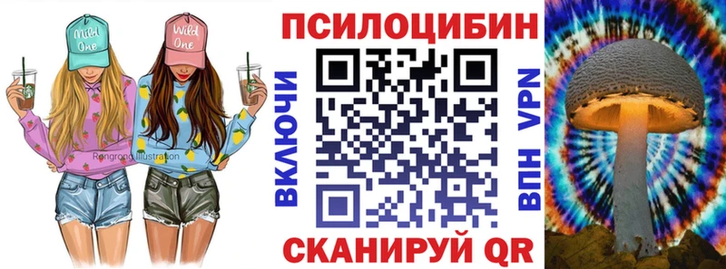 Псилоцибиновые грибы мухоморы  купить наркотики цена  Каргополь 